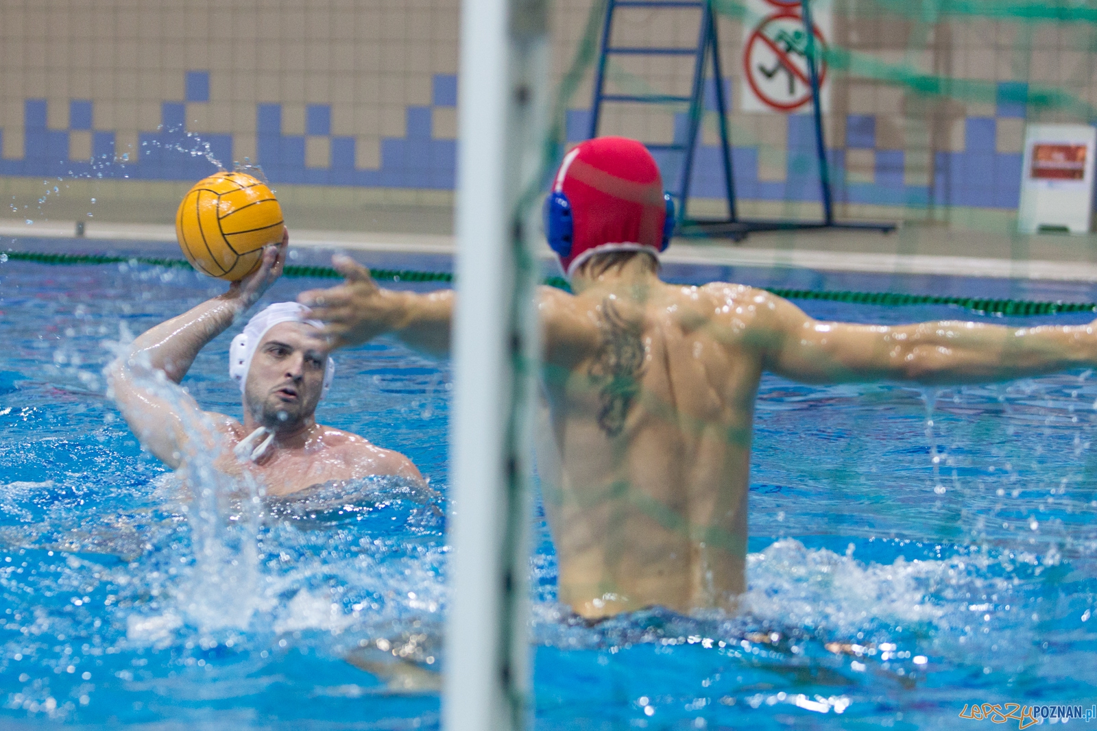 1. kolejka rozgrywek Ekstraklasy w piłce wodnej mężczyzn Foto: lepszyPOZNAN.pl / Piotr Rychter 1. kolejka rozgrywek Ekstraklasy w piłce wodnej mężczyzn Foto: lepszyPOZNAN.pl / Piotr Rychter