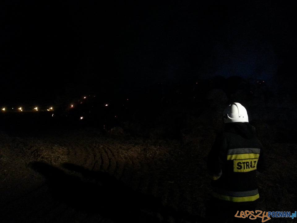 Spłonął stóg siana Foto: OSP Kostrzyn Spłonął stóg siana Foto: OSP Kostrzyn