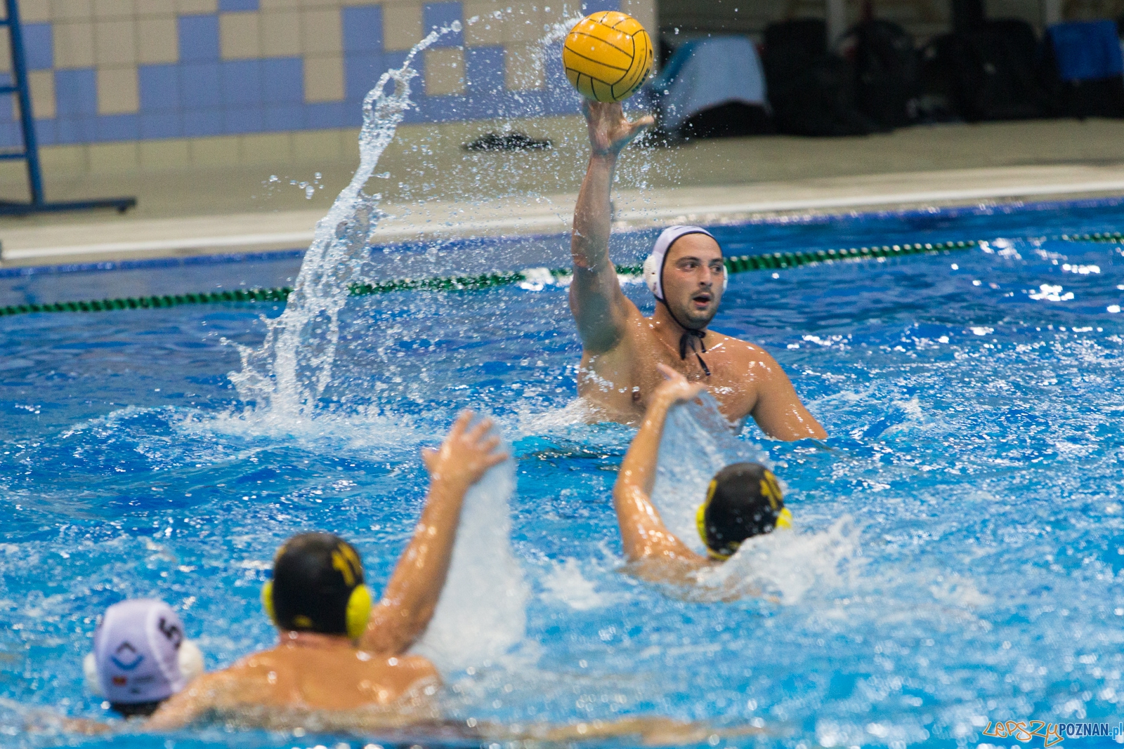 Puchar Polski w piłce wodnej mężczyzn 2015 - półfinał Ocme Foto: lepszyPOZNAN.pl / Piotr Rychter Puchar Polski w piłce wodnej mężczyzn 2015 - półfinał Ocme Foto: lepszyPOZNAN.pl / Piotr Rychter