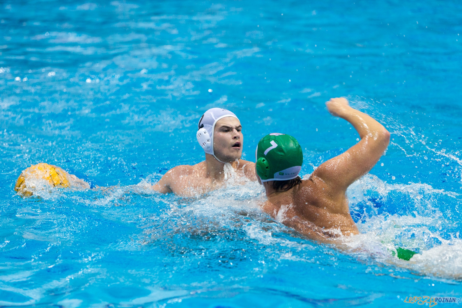 Puchar Polski w piłce wodnej mężczyzn 2015 - Waterpolo Pozna Foto: lepszyPOZNAN.pl / Piotr Rychter Puchar Polski w piłce wodnej mężczyzn 2015 - Waterpolo Pozna Foto: lepszyPOZNAN.pl / Piotr Rychter