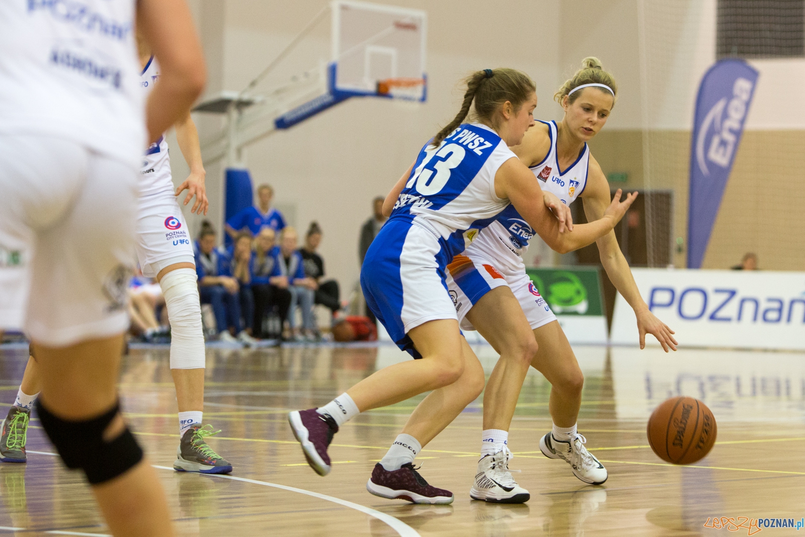 1 liga Kobiet Enea AZS Poznań - AZS PWSZ II Gorzów Foto: lepszyPOZNAN.pl / Piotr Rychter 1 liga Kobiet Enea AZS Poznań - AZS PWSZ II Gorzów Foto: lepszyPOZNAN.pl / Piotr Rychter