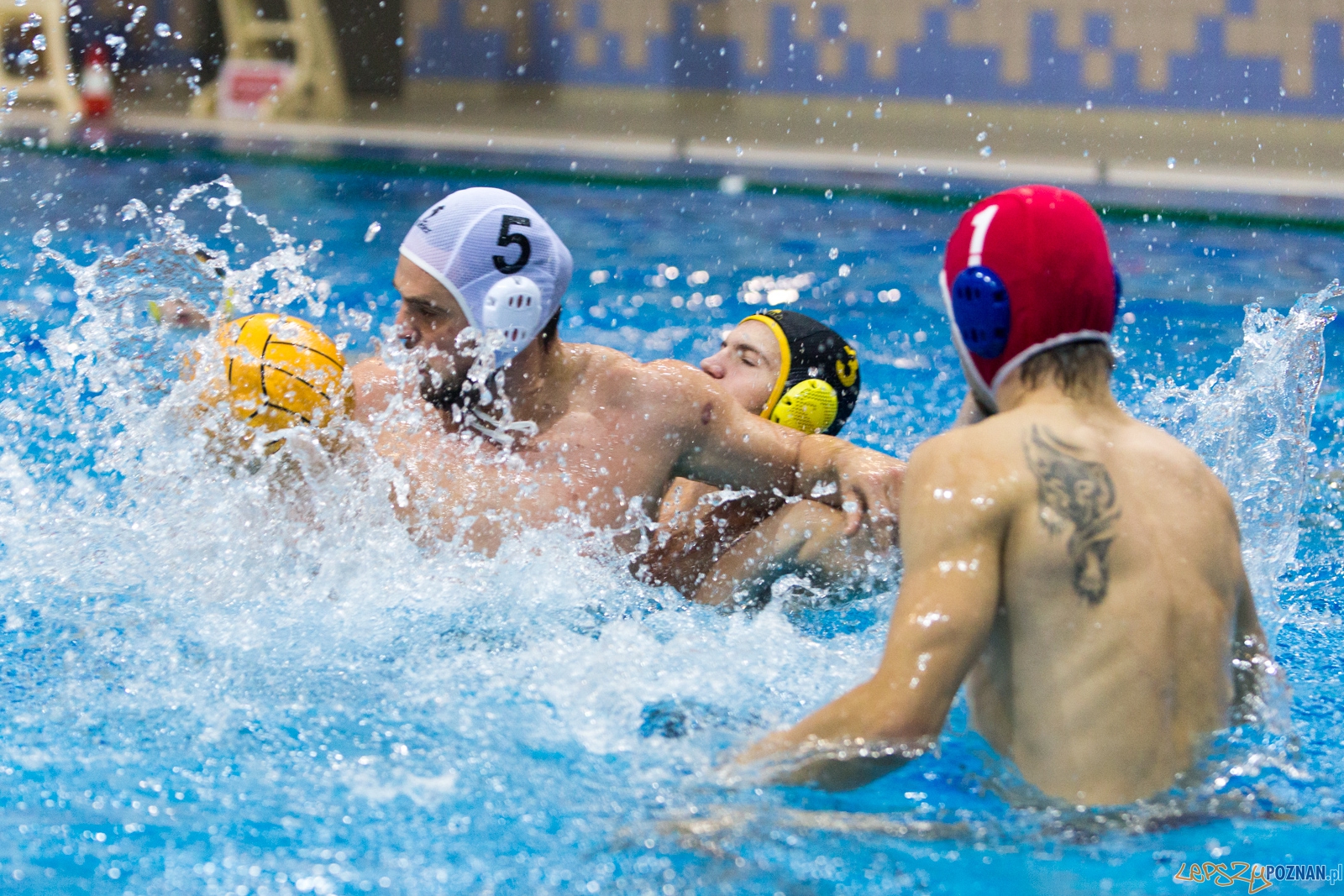 1. kolejka rozgrywek Ekstraklasy w piłce wodnej mężczyzn Foto: lepszyPOZNAN.pl / Piotr Rychter 1. kolejka rozgrywek Ekstraklasy w piłce wodnej mężczyzn Foto: lepszyPOZNAN.pl / Piotr Rychter