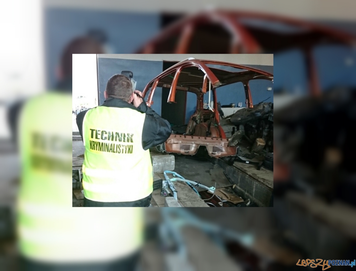 Jeszcze jedna dziupla zlikwidowana Foto: KWP w Poznaniu Jeszcze jedna dziupla zlikwidowana Foto: KWP w Poznaniu