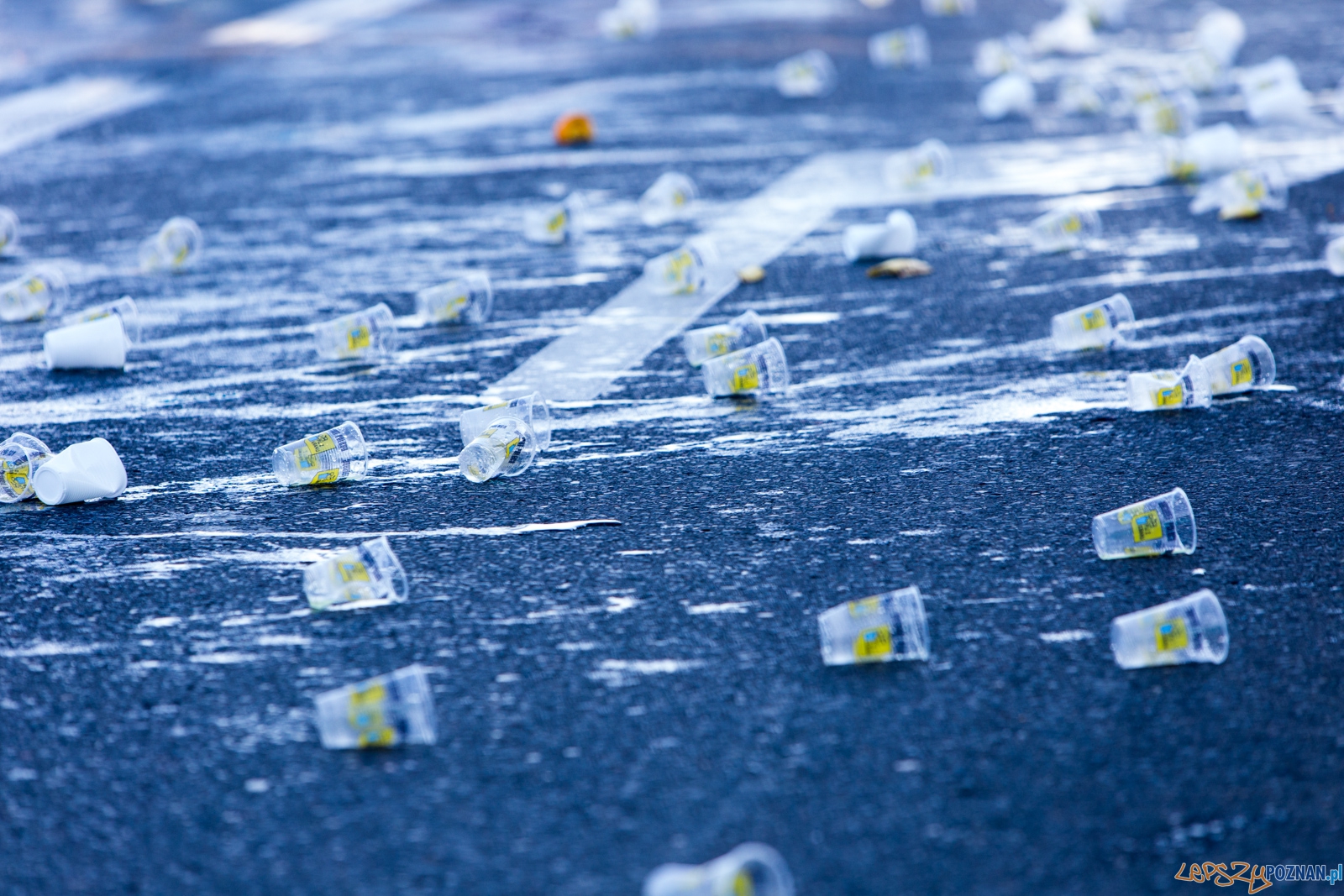 16. Poznań Maraton Foto: lepszyPOZNAN.pl / Piotr Rychter 16. Poznań Maraton Foto: lepszyPOZNAN.pl / Piotr Rychter