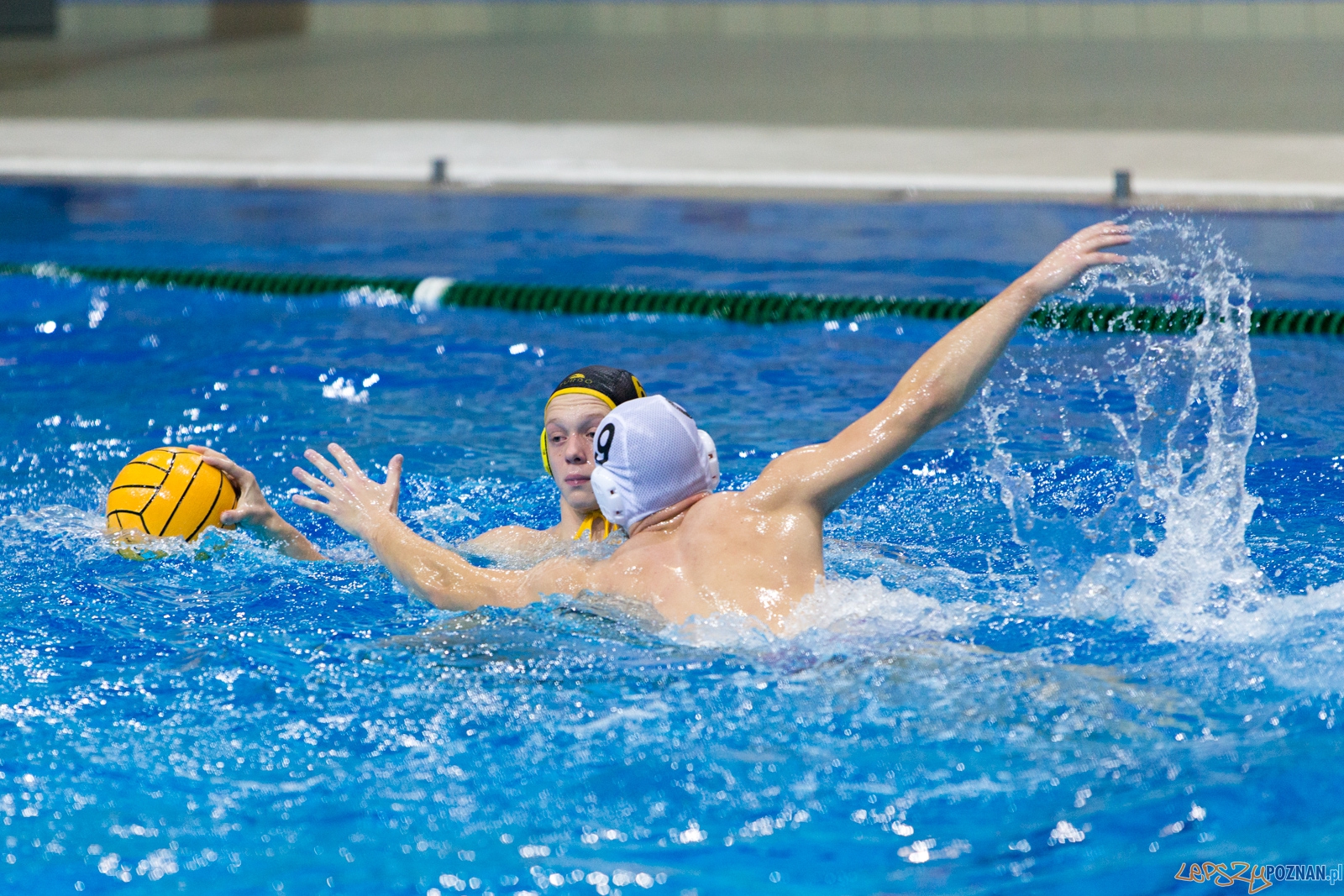 1. kolejka rozgrywek Ekstraklasy w piłce wodnej mężczyzn Foto: lepszyPOZNAN.pl / Piotr Rychter 1. kolejka rozgrywek Ekstraklasy w piłce wodnej mężczyzn Foto: lepszyPOZNAN.pl / Piotr Rychter