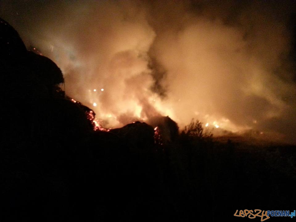 Spłonął stóg siana Foto: OSP Kostrzyn Spłonął stóg siana Foto: OSP Kostrzyn