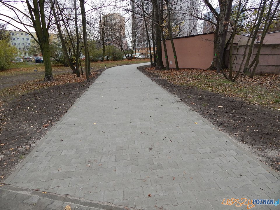 Była ścieżka jest aleja Foto: Rada Osiedla Rataje / Artur Gumny Była ścieżka jest aleja Foto: Rada Osiedla Rataje / Artur Gumny