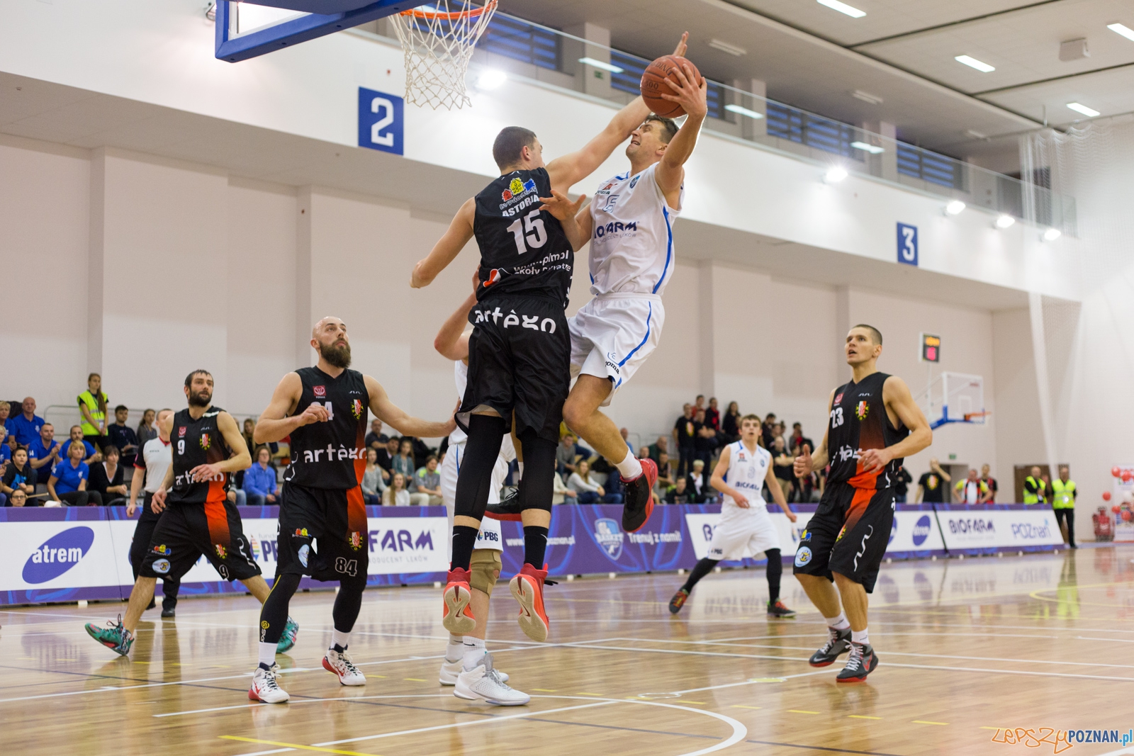 11. kolejka 1. ligi koszykówki mężczyzn - Biofarm Basket Poz Foto: lepszyPOZNAN.pl / Piotr Rychter 11. kolejka 1. ligi koszykówki mężczyzn - Biofarm Basket Poz Foto: lepszyPOZNAN.pl / Piotr Rychter