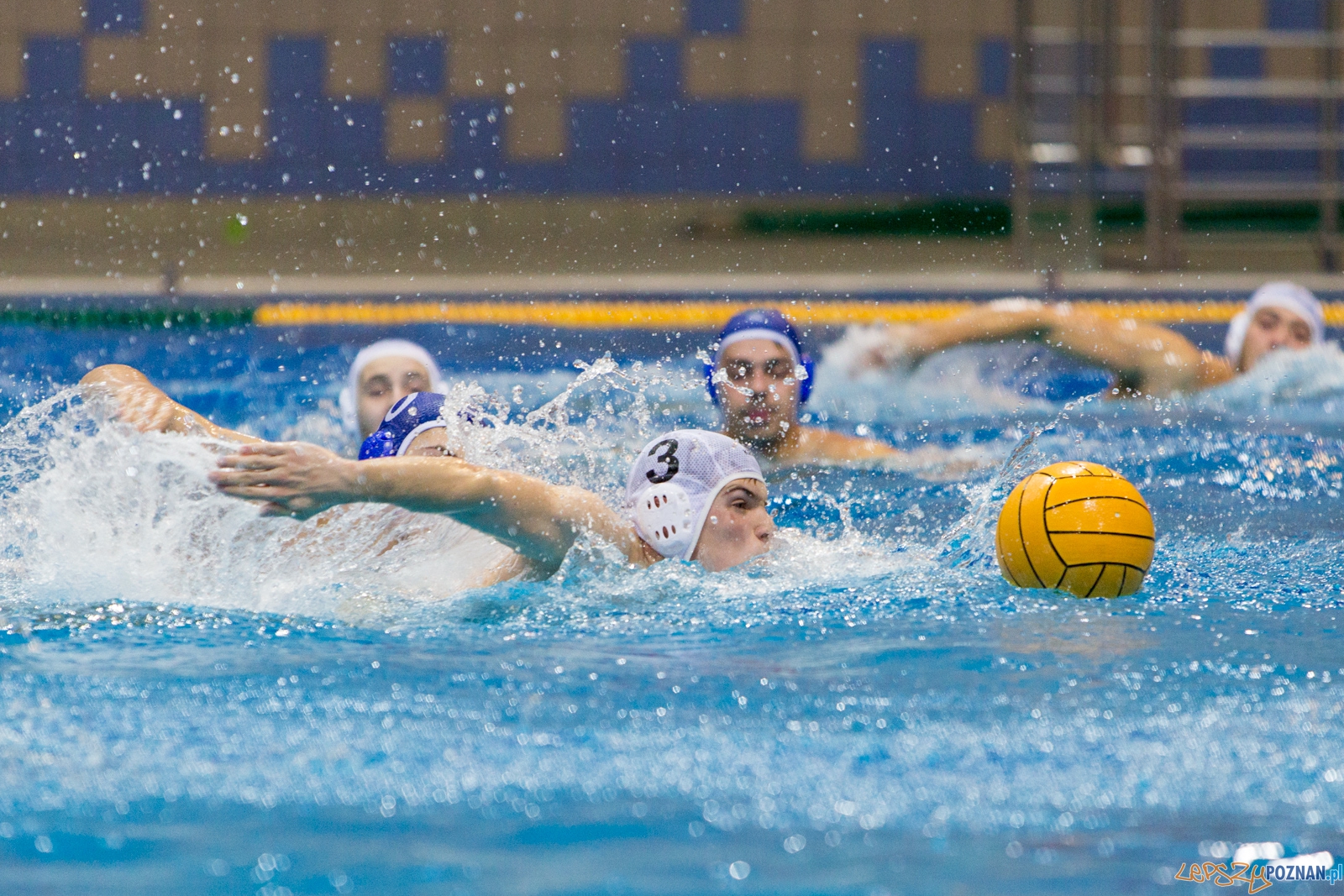 3. kolejka Ekstraklasy Piłki Wodnej - KS Waterpolo Poznań - GK Foto: lepszyPOZNAN.pl / Piotr Rychter 3. kolejka Ekstraklasy Piłki Wodnej - KS Waterpolo Poznań - GK Foto: lepszyPOZNAN.pl / Piotr Rychter