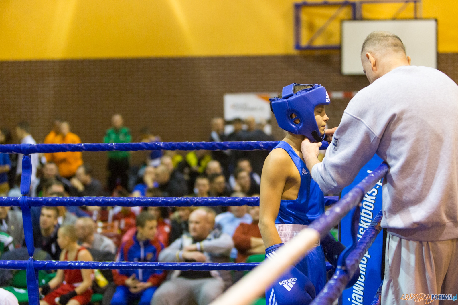 IV Oficjalne Mistrzostwa Polski Młodzików im. Pawła Szydły Foto: lepszyPOZNAN.pl / Piotr Rychter IV Oficjalne Mistrzostwa Polski Młodzików im. Pawła Szydły Foto: lepszyPOZNAN.pl / Piotr Rychter