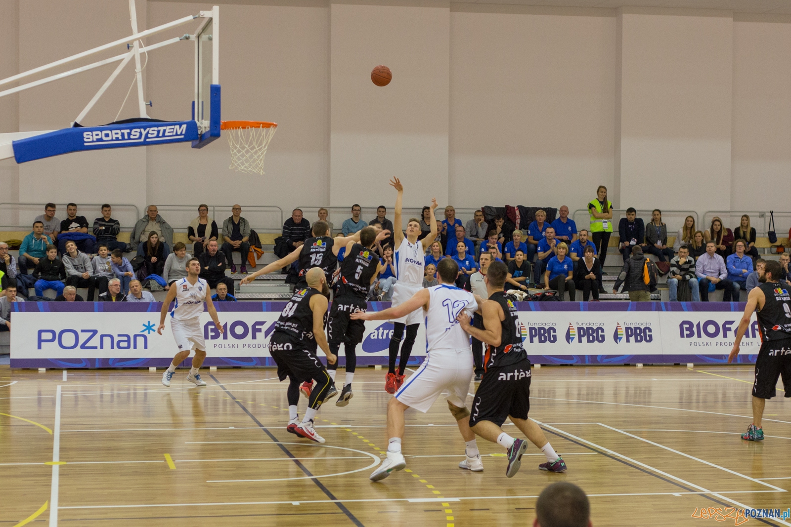 11. kolejka 1. ligi koszykówki mężczyzn - Biofarm Basket Poz Foto: lepszyPOZNAN.pl / Piotr Rychter 11. kolejka 1. ligi koszykówki mężczyzn - Biofarm Basket Poz Foto: lepszyPOZNAN.pl / Piotr Rychter