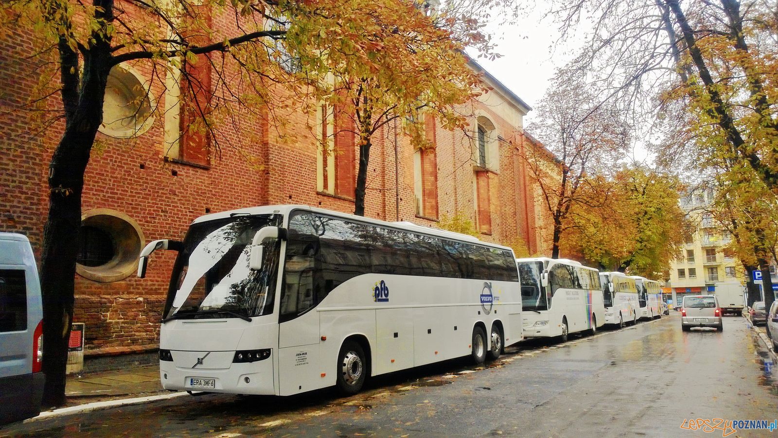 Autobusy na Dominikanskiej  Foto: Tomasz Dworek