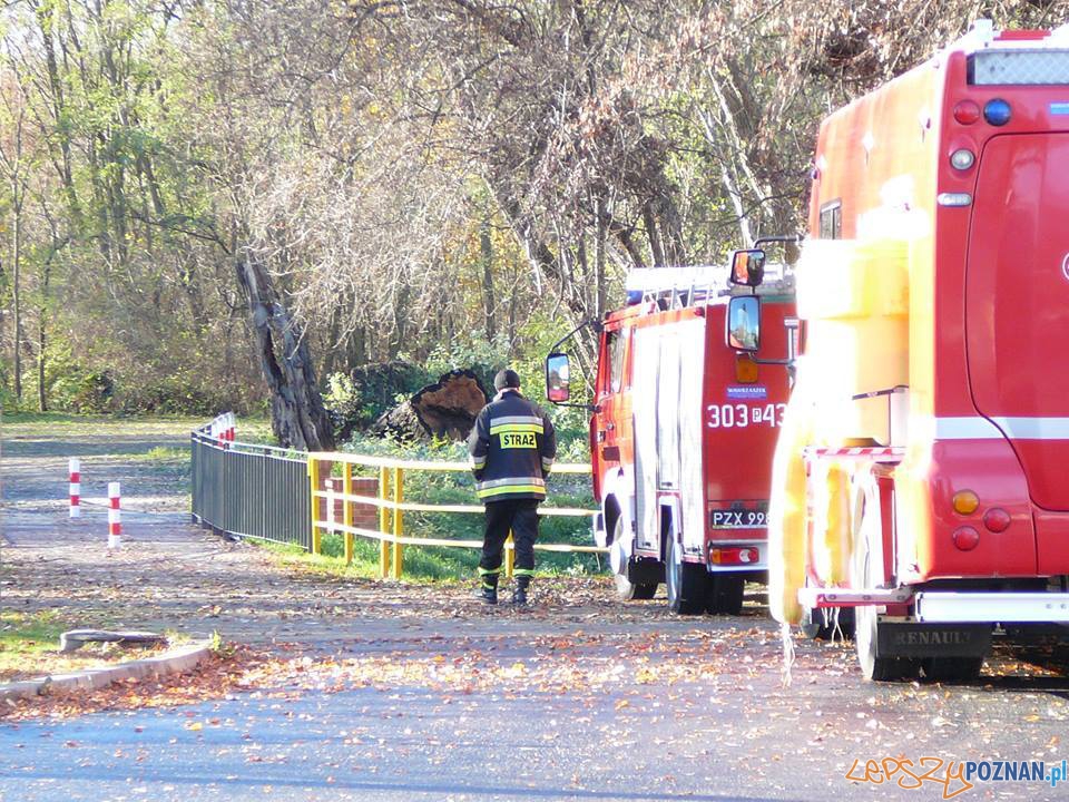 Zatruta rzeka Główna Foto: Krzysiek Mtb Zatruta rzeka Główna Foto: Krzysiek Mtb