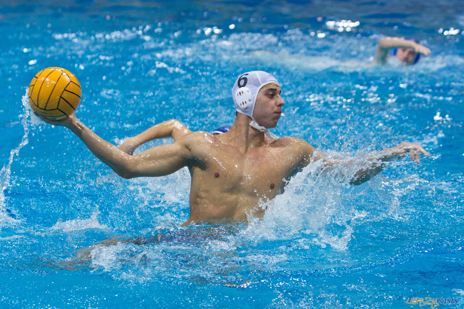3. kolejka Ekstraklasy Piłki Wodnej - KS Waterpolo Poznań - GK Foto: lepszyPOZNAN.pl / Piotr Rychter 3. kolejka Ekstraklasy Piłki Wodnej - KS Waterpolo Poznań - GK Foto: lepszyPOZNAN.pl / Piotr Rychter