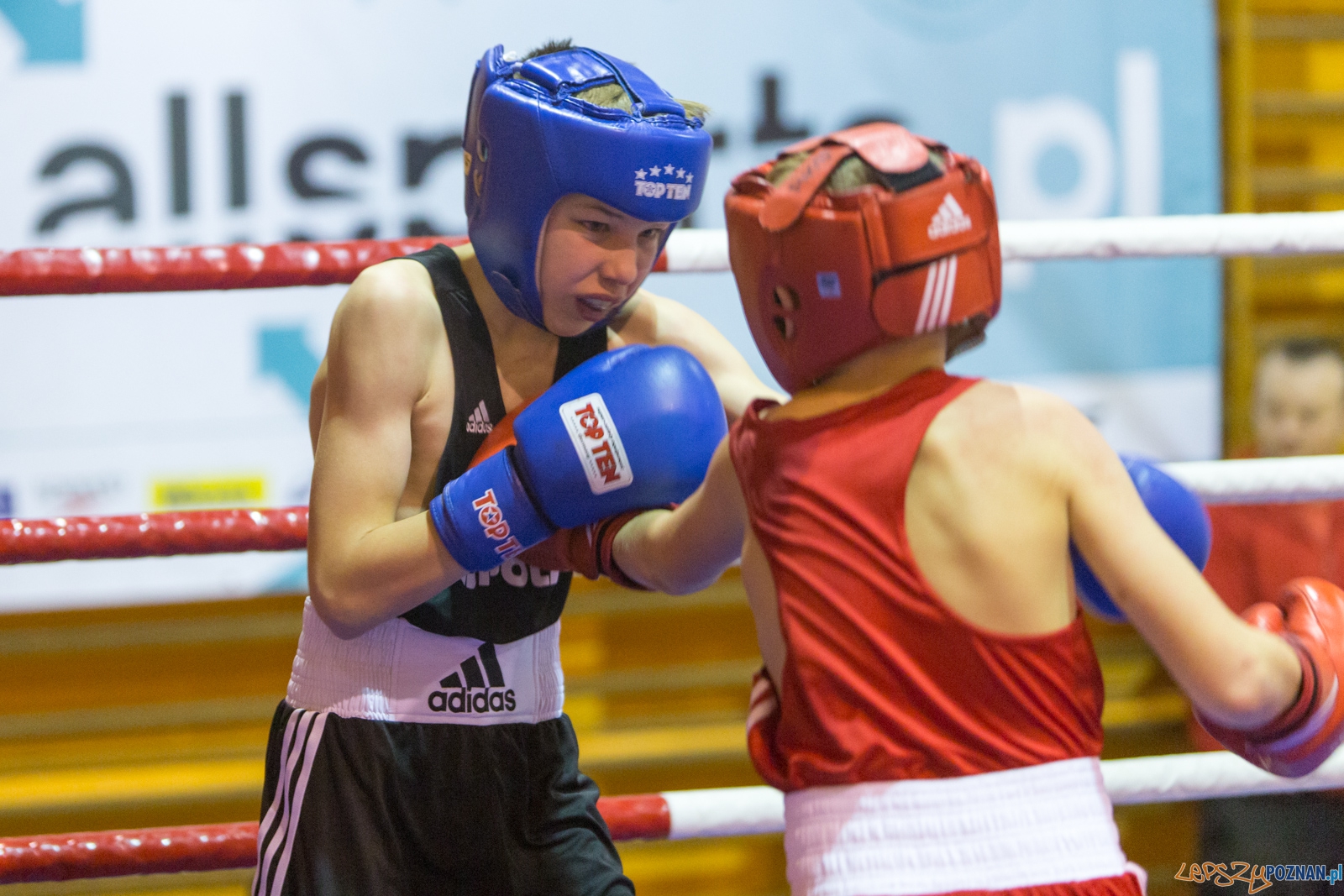 IV Oficjalne Mistrzostwa Polski Młodzików im. Pawła Szydły Foto: lepszyPOZNAN.pl / Piotr Rychter IV Oficjalne Mistrzostwa Polski Młodzików im. Pawła Szydły Foto: lepszyPOZNAN.pl / Piotr Rychter