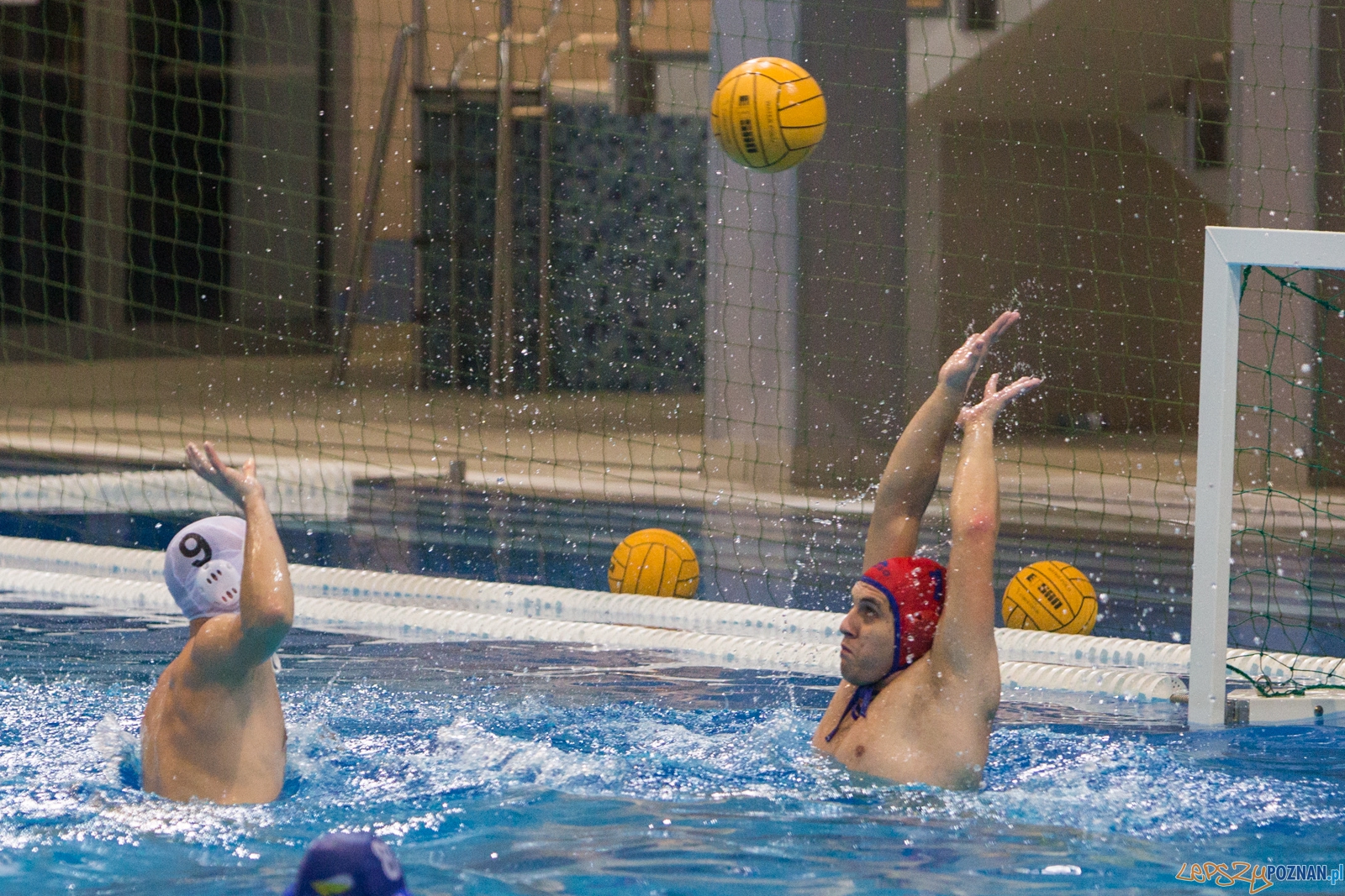 3. kolejka Ekstraklasy Piłki Wodnej - KS Waterpolo Poznań - GK Foto: lepszyPOZNAN.pl / Piotr Rychter 3. kolejka Ekstraklasy Piłki Wodnej - KS Waterpolo Poznań - GK Foto: lepszyPOZNAN.pl / Piotr Rychter