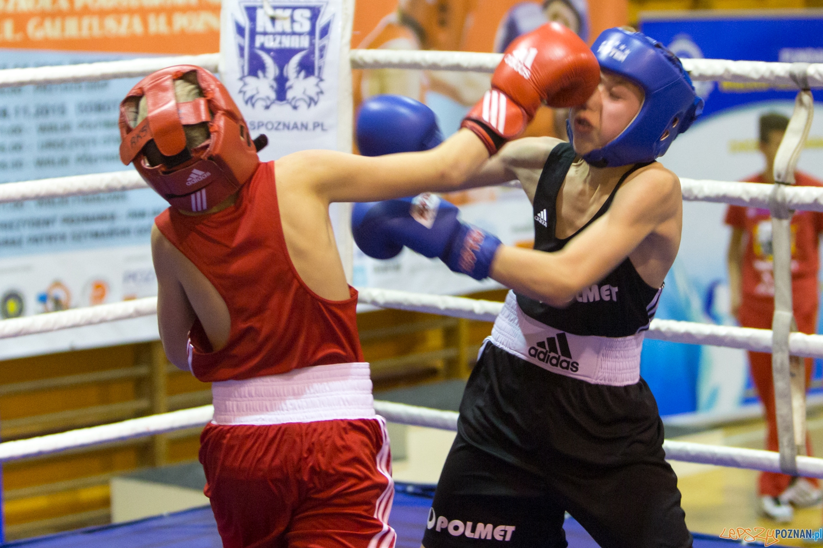 IV Oficjalne Mistrzostwa Polski Młodzików im. Pawła Szydły Foto: lepszyPOZNAN.pl / Piotr Rychter IV Oficjalne Mistrzostwa Polski Młodzików im. Pawła Szydły Foto: lepszyPOZNAN.pl / Piotr Rychter