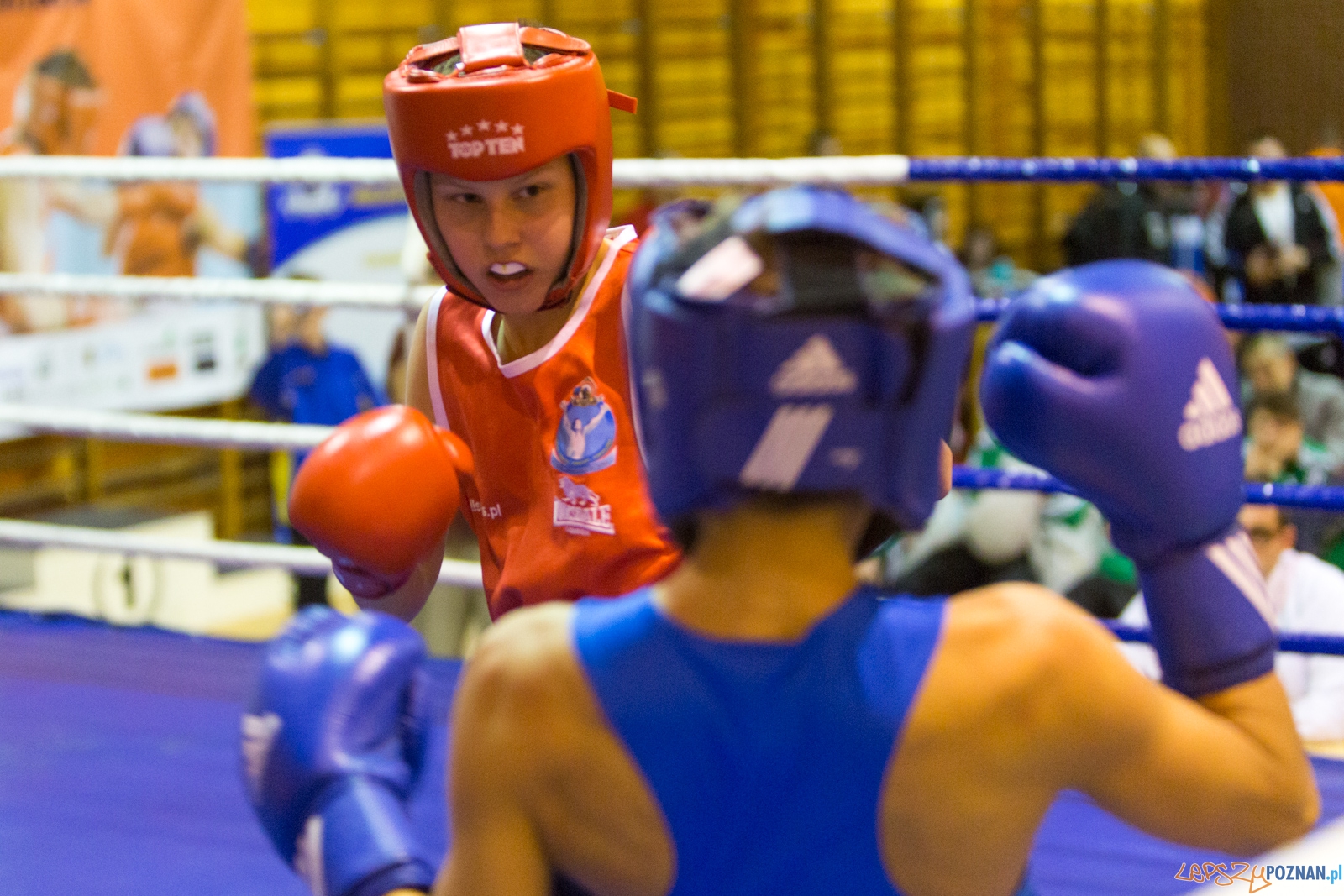 IV Oficjalne Mistrzostwa Polski Młodzików im. Pawła Szydły Foto: lepszyPOZNAN.pl / Piotr Rychter IV Oficjalne Mistrzostwa Polski Młodzików im. Pawła Szydły Foto: lepszyPOZNAN.pl / Piotr Rychter