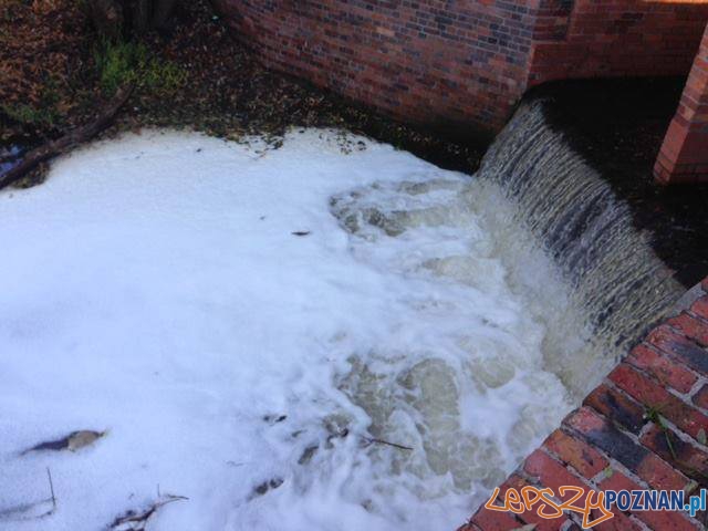 Zatruta rzeka Główna Foto: Krzysiek Mtb Zatruta rzeka Główna Foto: Krzysiek Mtb