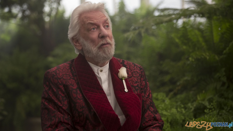 Igrzyska Śmierci: Kososgłos. Część 2 Foto: mat. prasowe Igrzyska Śmierci: Kososgłos. Część 2 Foto: mat. prasowe