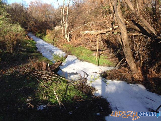 Zatruta rzeka Główna Foto: Krzysiek Mtb Zatruta rzeka Główna Foto: Krzysiek Mtb