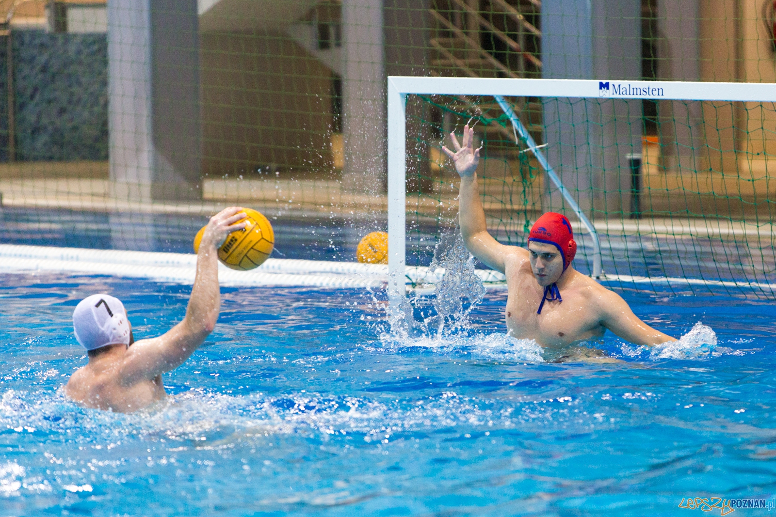 3. kolejka Ekstraklasy Piłki Wodnej - KS Waterpolo Poznań - GK Foto: lepszyPOZNAN.pl / Piotr Rychter 3. kolejka Ekstraklasy Piłki Wodnej - KS Waterpolo Poznań - GK Foto: lepszyPOZNAN.pl / Piotr Rychter