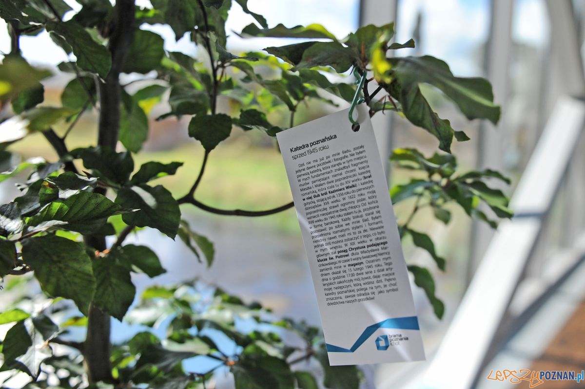 Projekty edukacyjne w Bramie Poznania Foto: Łukasz Gdak / Brama Poznania Projekty edukacyjne w Bramie Poznania Foto: Łukasz Gdak / Brama Poznania