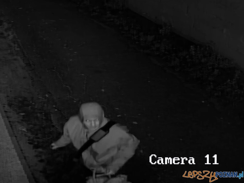 Nożownik zaatakował kobietę w Kórniku Foto: KWP w Poznaniu Nożownik zaatakował kobietę w Kórniku Foto: KWP w Poznaniu