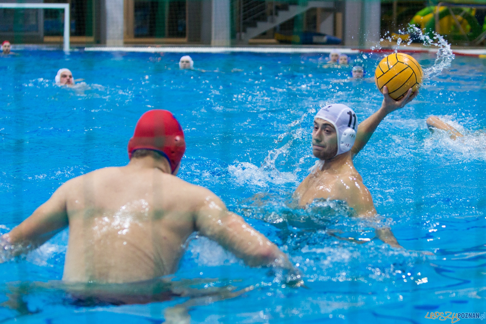 3. kolejka Ekstraklasy Piłki Wodnej - KS Waterpolo Poznań - GK Foto: lepszyPOZNAN.pl / Piotr Rychter 3. kolejka Ekstraklasy Piłki Wodnej - KS Waterpolo Poznań - GK Foto: lepszyPOZNAN.pl / Piotr Rychter