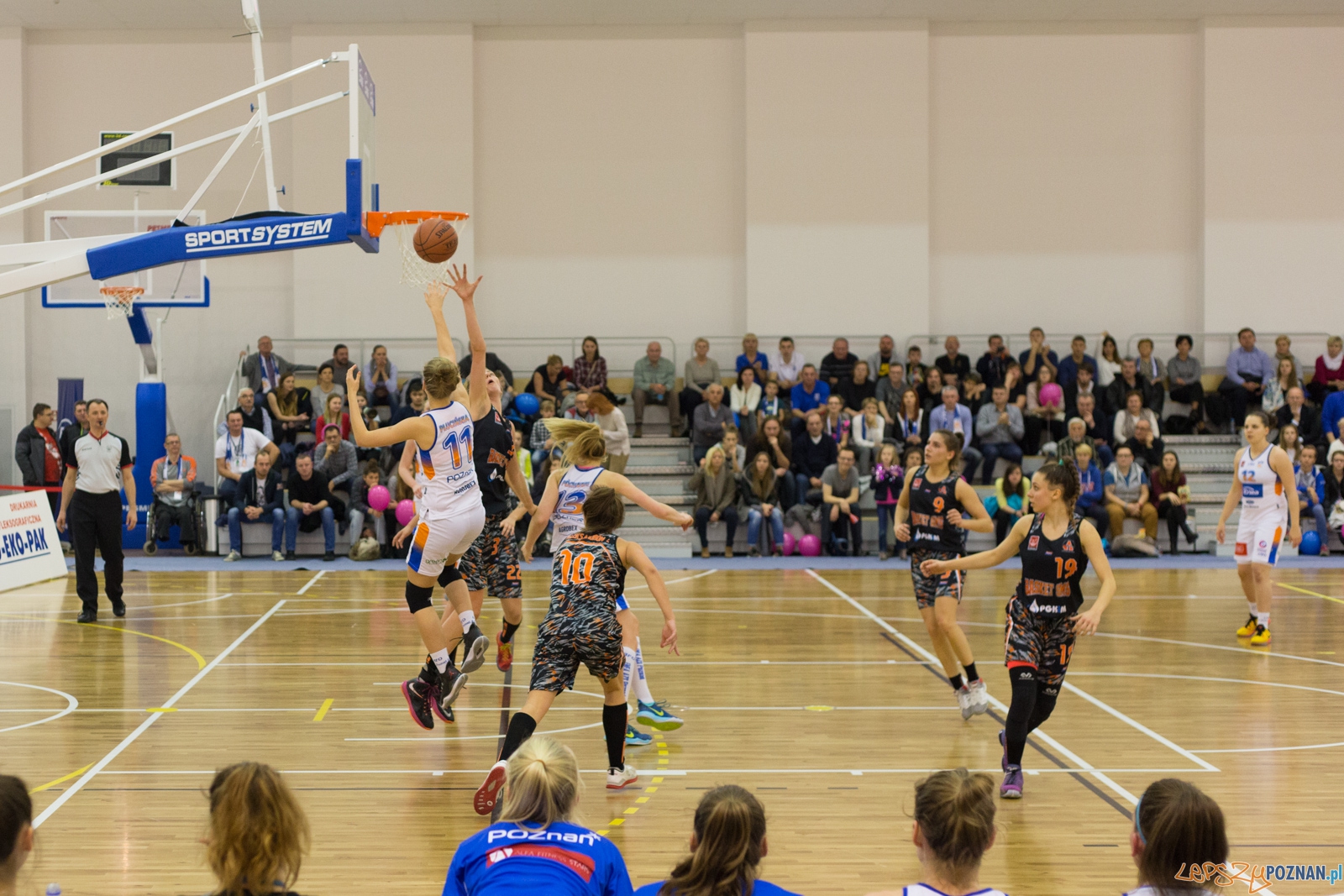 ENEA AZS Poznań - UKS Basket SMS Aleksandrów Łódzki Foto: lepszyPOZNAN.pl / Piotr Rychter ENEA AZS Poznań - UKS Basket SMS Aleksandrów Łódzki Foto: lepszyPOZNAN.pl / Piotr Rychter