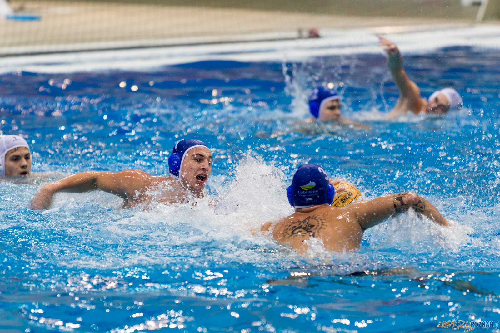 3. kolejka Ekstraklasy Piłki Wodnej - KS Waterpolo Poznań - GK Foto: lepszyPOZNAN.pl / Piotr Rychter 3. kolejka Ekstraklasy Piłki Wodnej - KS Waterpolo Poznań - GK Foto: lepszyPOZNAN.pl / Piotr Rychter