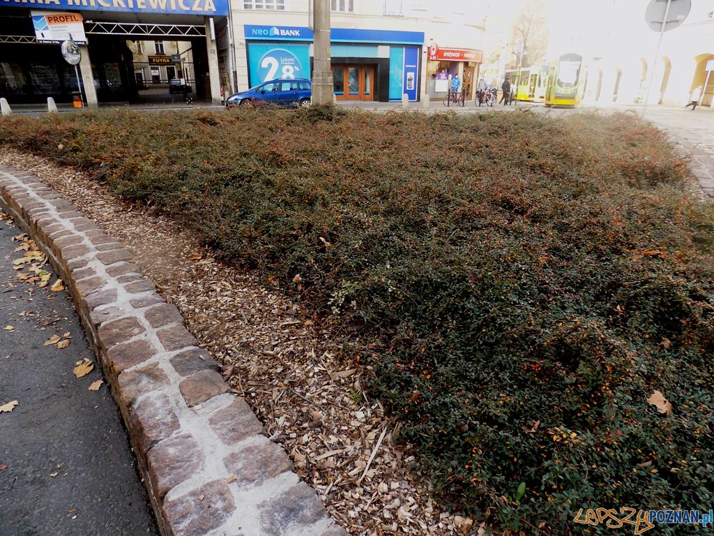 ul. Gwarna renowacja murku Foto: Rada Osiedla Stare Miasto ul. Gwarna renowacja murku Foto: Rada Osiedla Stare Miasto