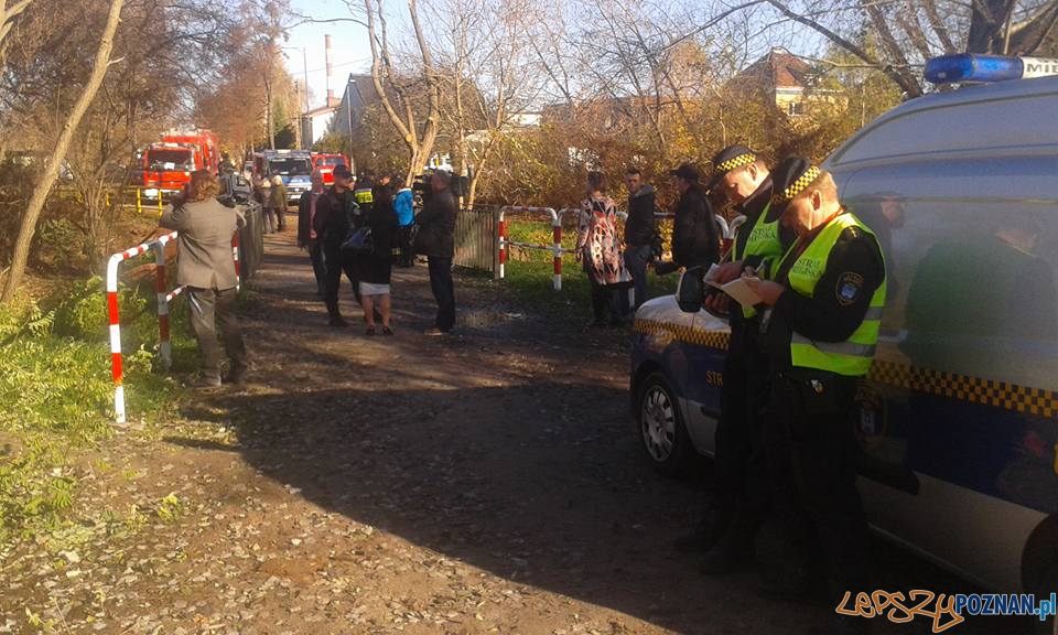 Zatruta rzeka Główna Foto: Radosław Kołpowski Zatruta rzeka Główna Foto: Radosław Kołpowski