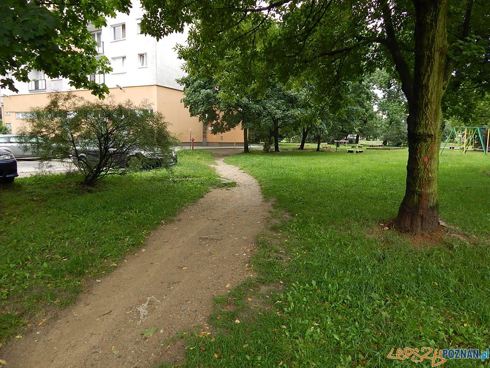 Była ścieżka jest aleja Foto: Rada Osiedla Rataje / Artur Gumny Była ścieżka jest aleja Foto: Rada Osiedla Rataje / Artur Gumny