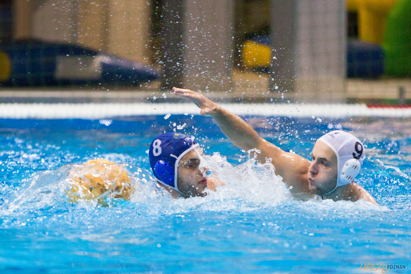 3. kolejka Ekstraklasy Piłki Wodnej - KS Waterpolo Poznań - GK Foto: lepszyPOZNAN.pl / Piotr Rychter 3. kolejka Ekstraklasy Piłki Wodnej - KS Waterpolo Poznań - GK Foto: lepszyPOZNAN.pl / Piotr Rychter