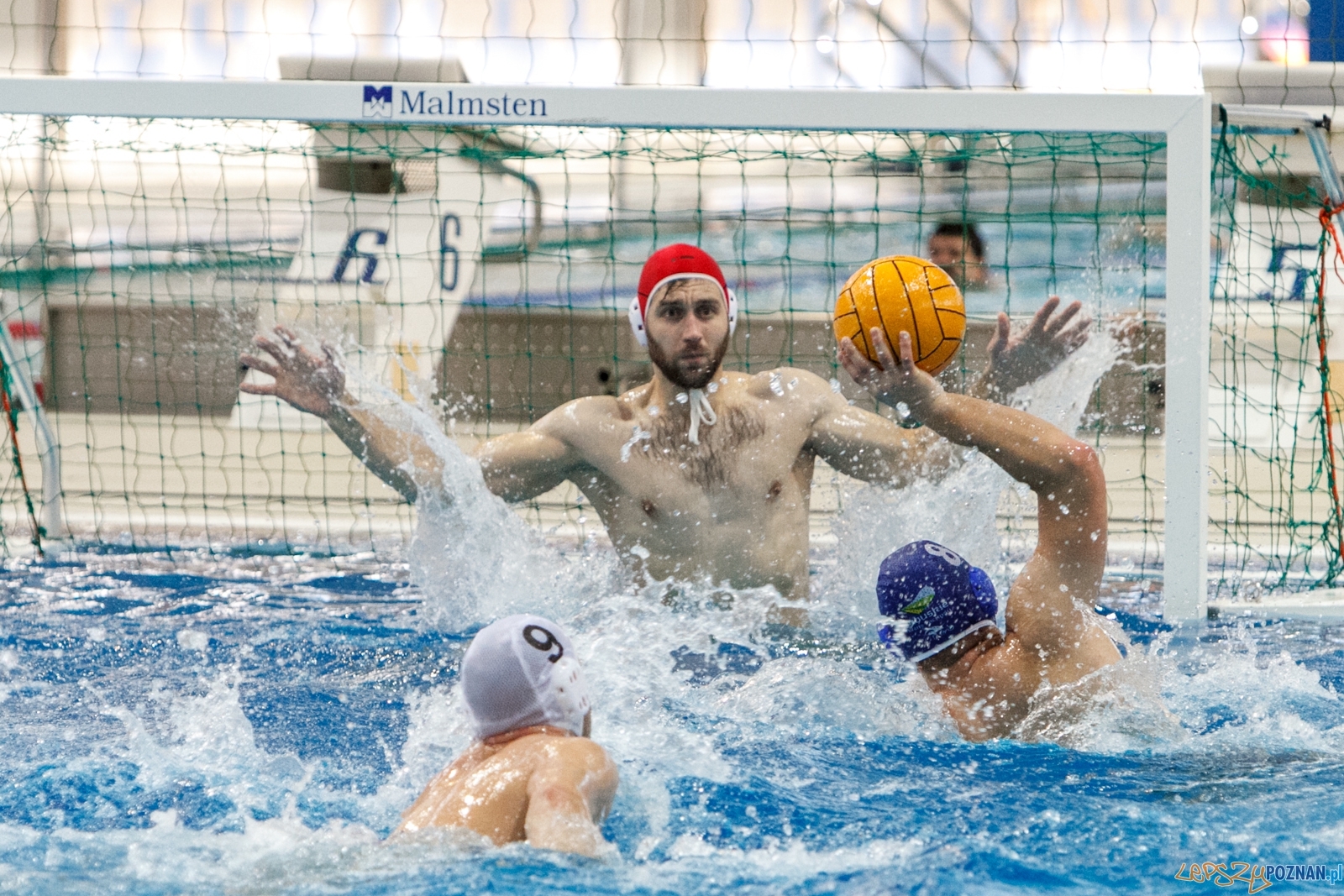 KS Waterpolo Poznań – GKPW 59 Gorzów - 27:5 - Poznań 14.11.  Foto: LepszyPOZNAN.pl / Paweł Rychter