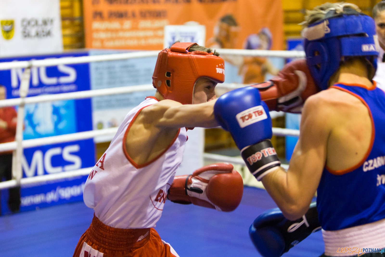 IV Oficjalne Mistrzostwa Polski Młodzików im. Pawła Szydły Foto: lepszyPOZNAN.pl / Piotr Rychter IV Oficjalne Mistrzostwa Polski Młodzików im. Pawła Szydły Foto: lepszyPOZNAN.pl / Piotr Rychter