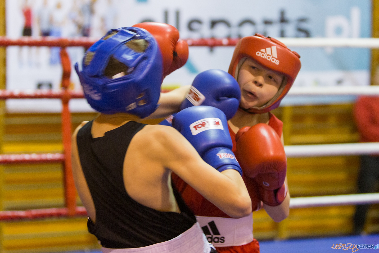 IV Oficjalne Mistrzostwa Polski Młodzików im. Pawła Szydły Foto: lepszyPOZNAN.pl / Piotr Rychter IV Oficjalne Mistrzostwa Polski Młodzików im. Pawła Szydły Foto: lepszyPOZNAN.pl / Piotr Rychter