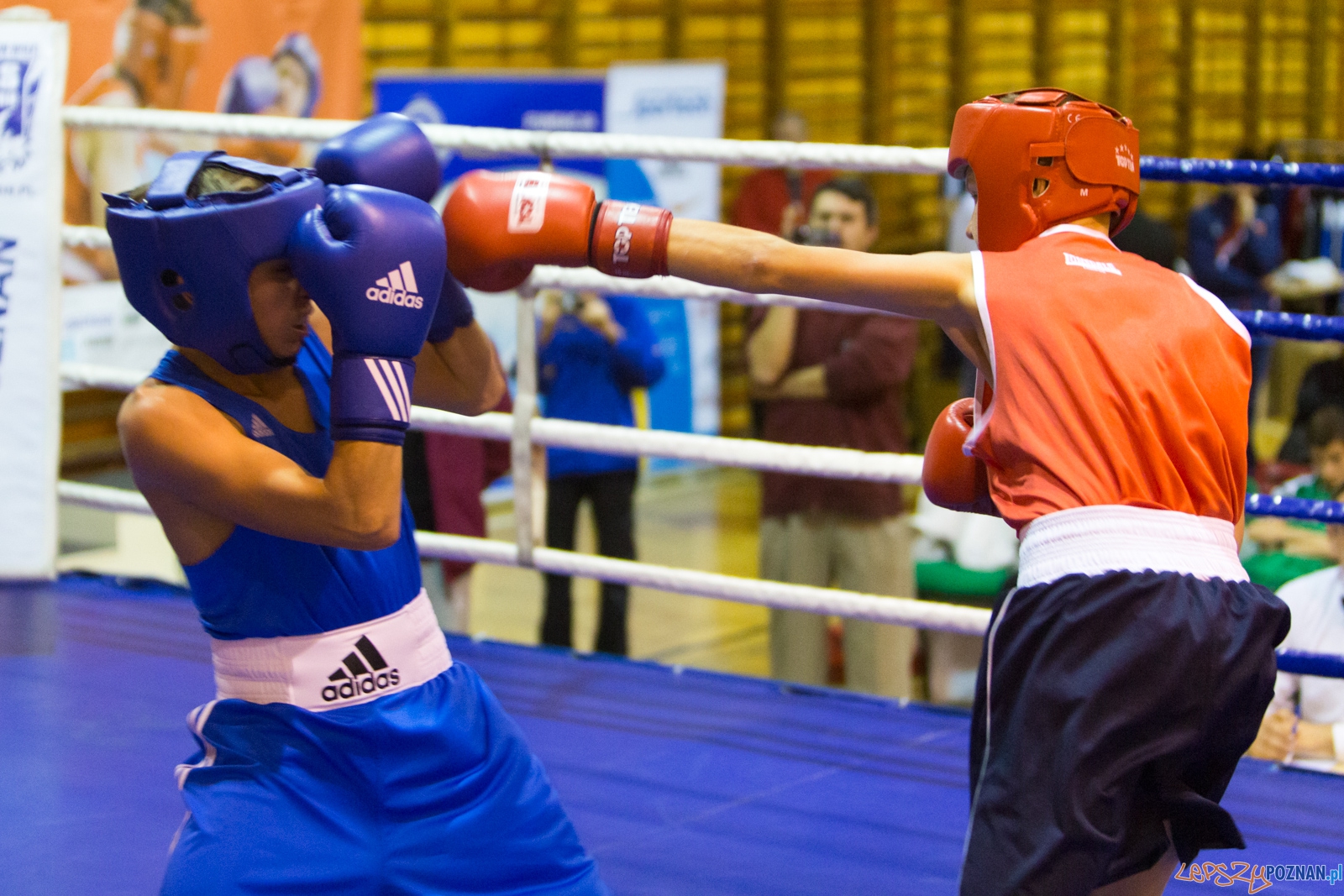 IV Oficjalne Mistrzostwa Polski Młodzików im. Pawła Szydły Foto: lepszyPOZNAN.pl / Piotr Rychter IV Oficjalne Mistrzostwa Polski Młodzików im. Pawła Szydły Foto: lepszyPOZNAN.pl / Piotr Rychter