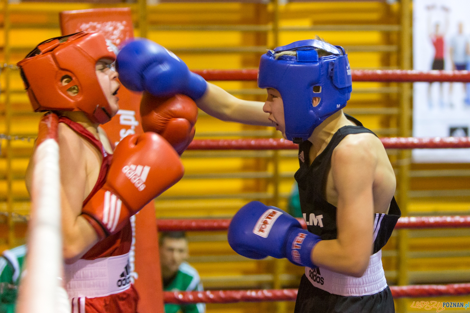 IV Oficjalne Mistrzostwa Polski Młodzików im. Pawła Szydły Foto: lepszyPOZNAN.pl / Piotr Rychter IV Oficjalne Mistrzostwa Polski Młodzików im. Pawła Szydły Foto: lepszyPOZNAN.pl / Piotr Rychter