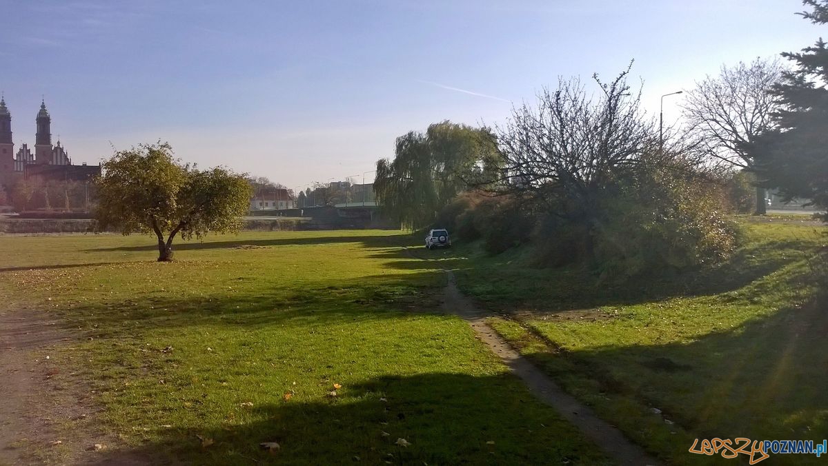 Czekamy na przycięcie krzaków i nowe nasadzenia Foto: Rada Osiedla Stare Miasto Czekamy na przycięcie krzaków i nowe nasadzenia Foto: Rada Osiedla Stare Miasto