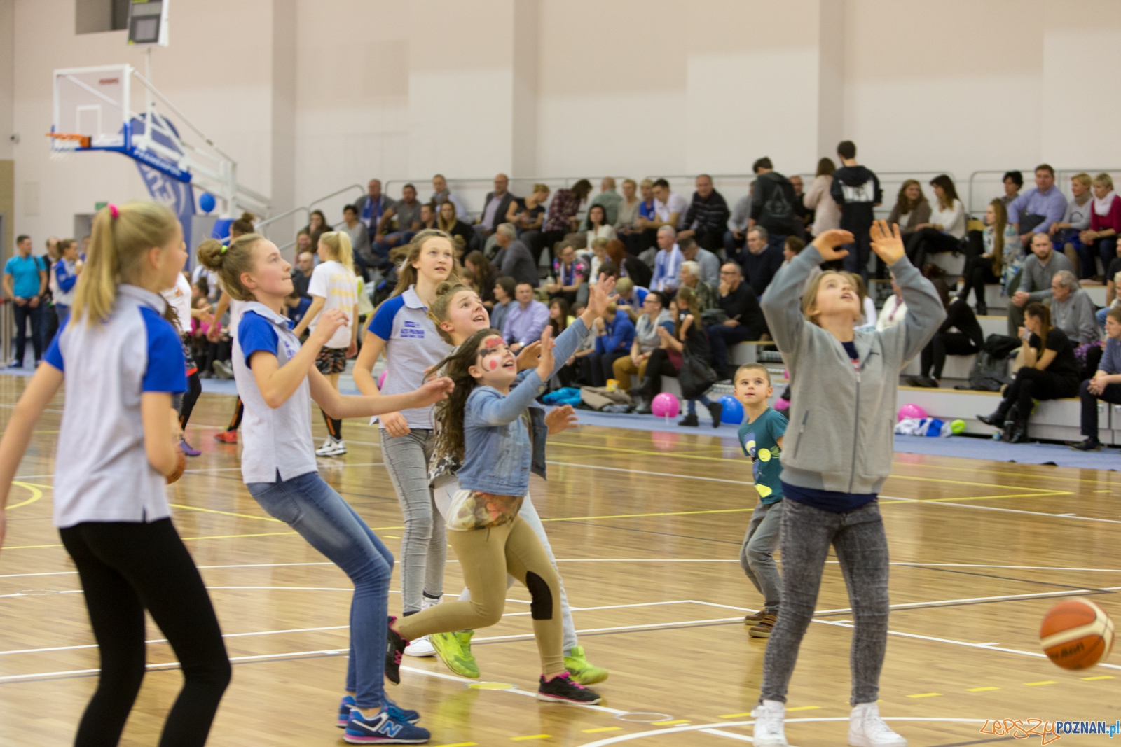 ENEA AZS Poznań - UKS Basket SMS Aleksandrów Łódzki Foto: lepszyPOZNAN.pl / Piotr Rychter ENEA AZS Poznań - UKS Basket SMS Aleksandrów Łódzki Foto: lepszyPOZNAN.pl / Piotr Rychter