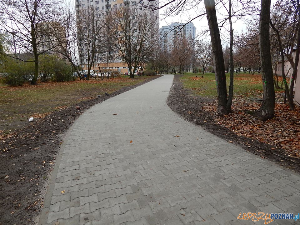 Była ścieżka jest aleja Foto: Rada Osiedla Rataje / Artur Gumny Była ścieżka jest aleja Foto: Rada Osiedla Rataje / Artur Gumny