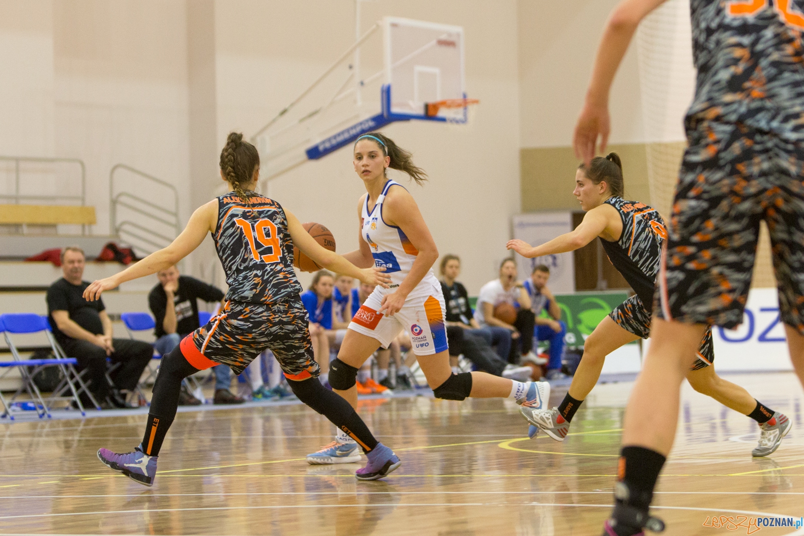 ENEA AZS Poznań - UKS Basket SMS Aleksandrów Łódzki Foto: lepszyPOZNAN.pl / Piotr Rychter ENEA AZS Poznań - UKS Basket SMS Aleksandrów Łódzki Foto: lepszyPOZNAN.pl / Piotr Rychter