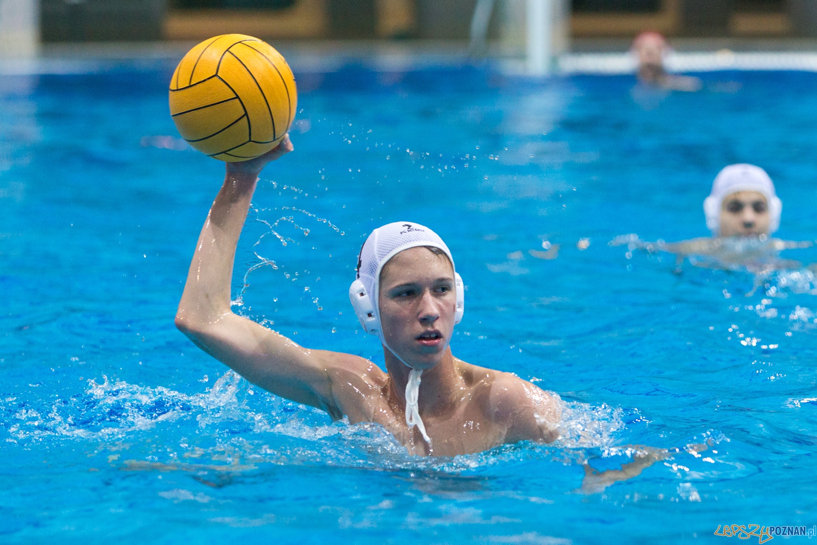 3. kolejka Ekstraklasy Piłki Wodnej - KS Waterpolo Poznań - GK Foto: lepszyPOZNAN.pl / Piotr Rychter 3. kolejka Ekstraklasy Piłki Wodnej - KS Waterpolo Poznań - GK Foto: lepszyPOZNAN.pl / Piotr Rychter