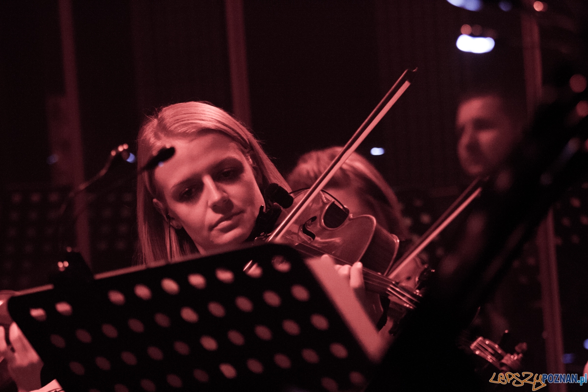 Tribute to Michael Jackson (22.11.2015) Sala Ziemi Foto: © lepszyPOZNAN.pl / Karolina Kiraga Tribute to Michael Jackson (22.11.2015) Sala Ziemi Foto: © lepszyPOZNAN.pl / Karolina Kiraga