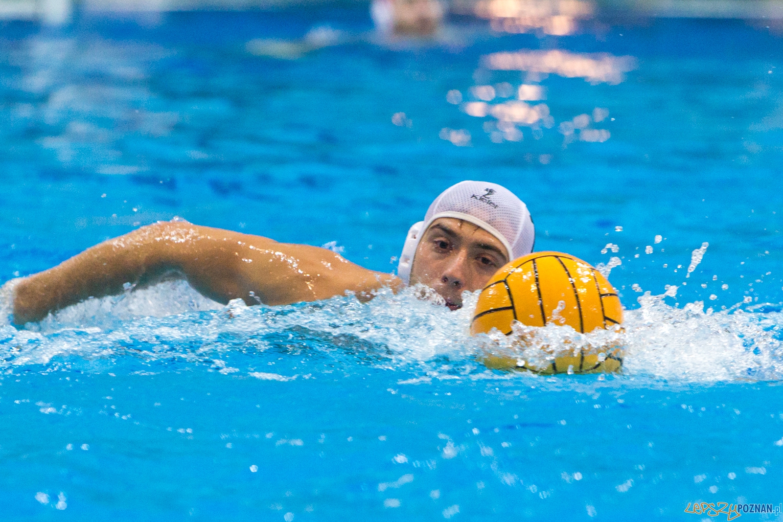 3. kolejka Ekstraklasy Piłki Wodnej - KS Waterpolo Poznań - GK Foto: lepszyPOZNAN.pl / Piotr Rychter 3. kolejka Ekstraklasy Piłki Wodnej - KS Waterpolo Poznań - GK Foto: lepszyPOZNAN.pl / Piotr Rychter