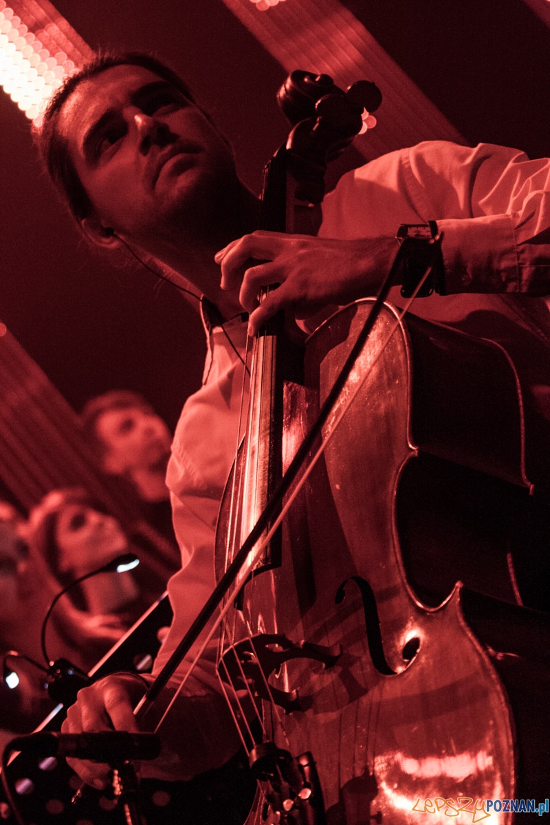 Tribute to Michael Jackson (22.11.2015) Sala Ziemi Foto: © lepszyPOZNAN.pl / Karolina Kiraga Tribute to Michael Jackson (22.11.2015) Sala Ziemi Foto: © lepszyPOZNAN.pl / Karolina Kiraga