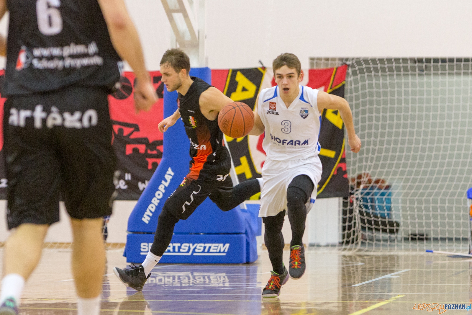 11. kolejka 1. ligi koszykówki mężczyzn - Biofarm Basket Poz Foto: lepszyPOZNAN.pl / Piotr Rychter 11. kolejka 1. ligi koszykówki mężczyzn - Biofarm Basket Poz Foto: lepszyPOZNAN.pl / Piotr Rychter