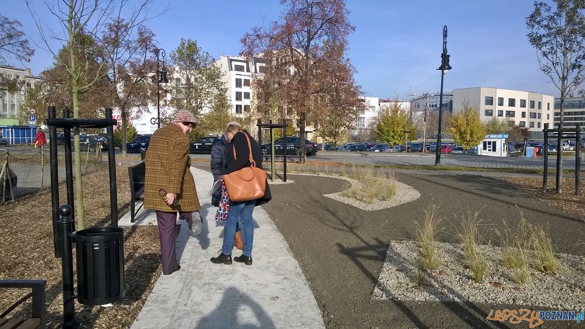 Skwer Międzymoście Foto: Rada Osiedla Stare Miasto Skwer Międzymoście Foto: Rada Osiedla Stare Miasto